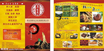 參萃養生·普惠指南 人參用途與功效詳析